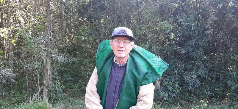 Padre cria abelhas para colaborar com meio ambiente