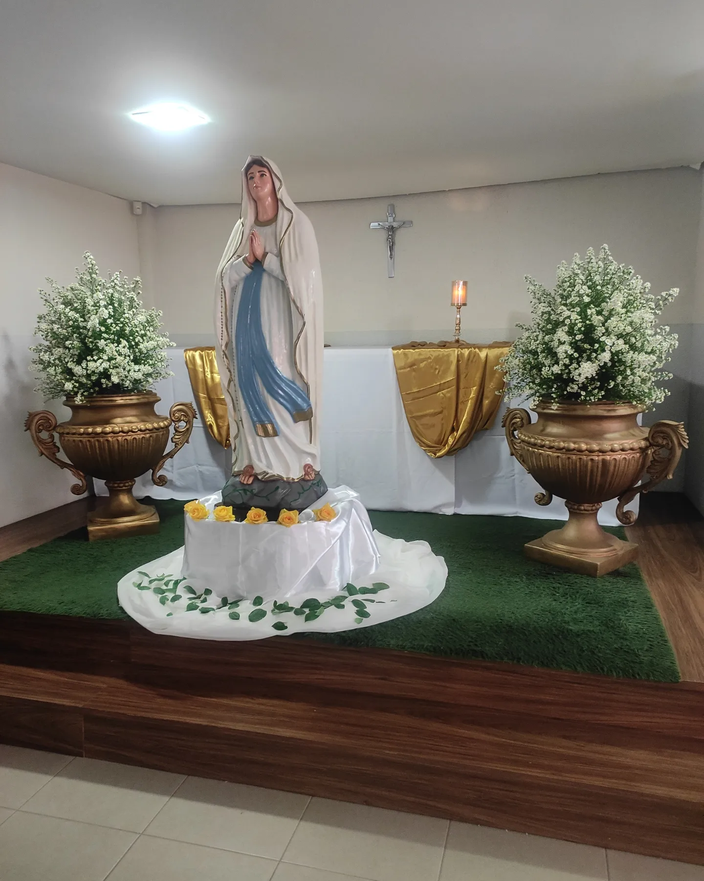 Família Diocesana de Apucarana 