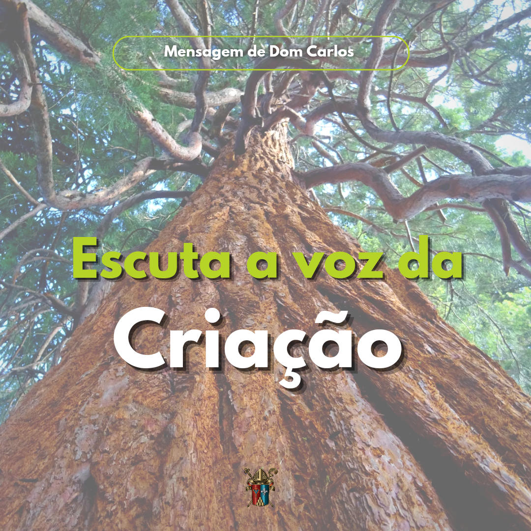 Escuta a voz da Criação 