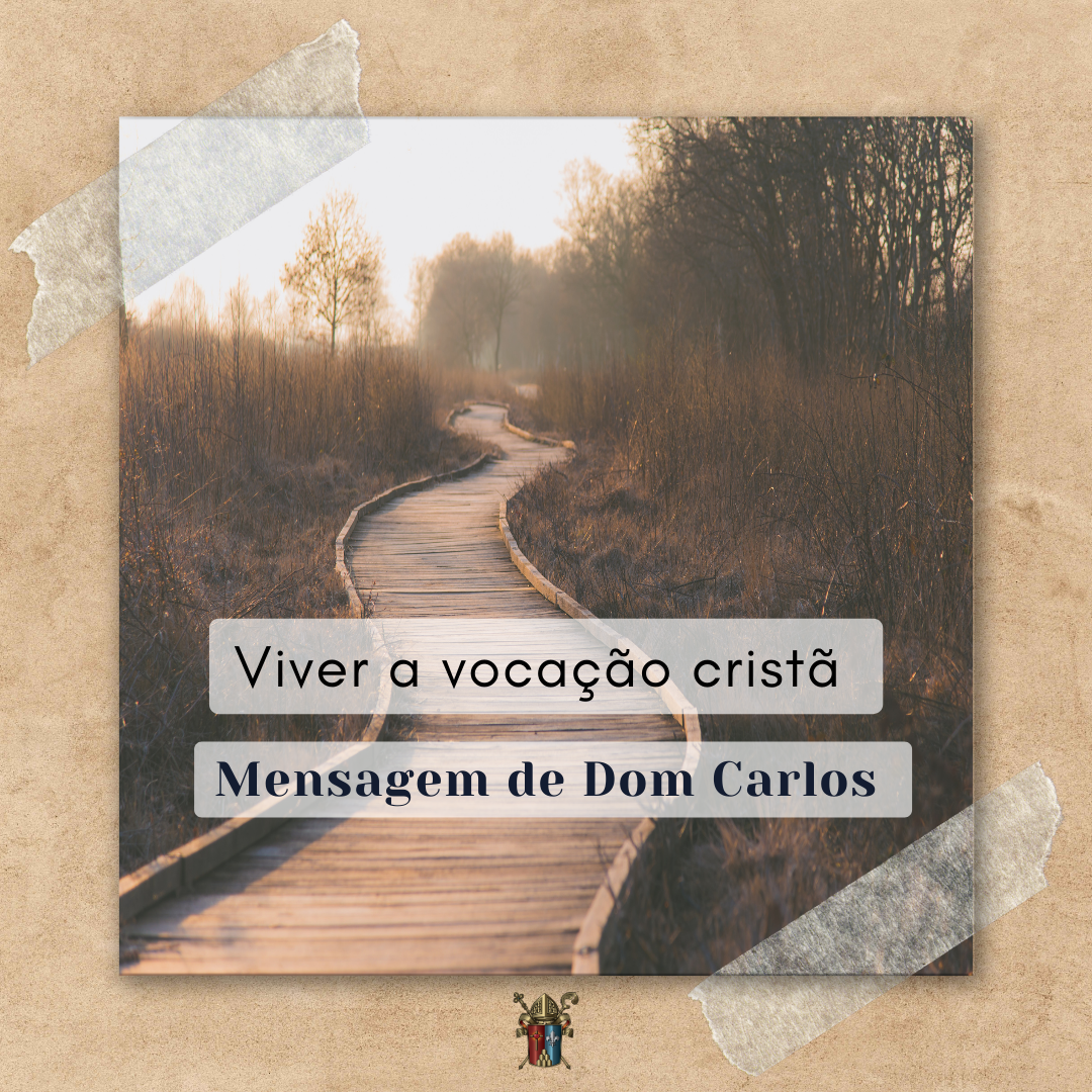 Viver a vocação cristã 