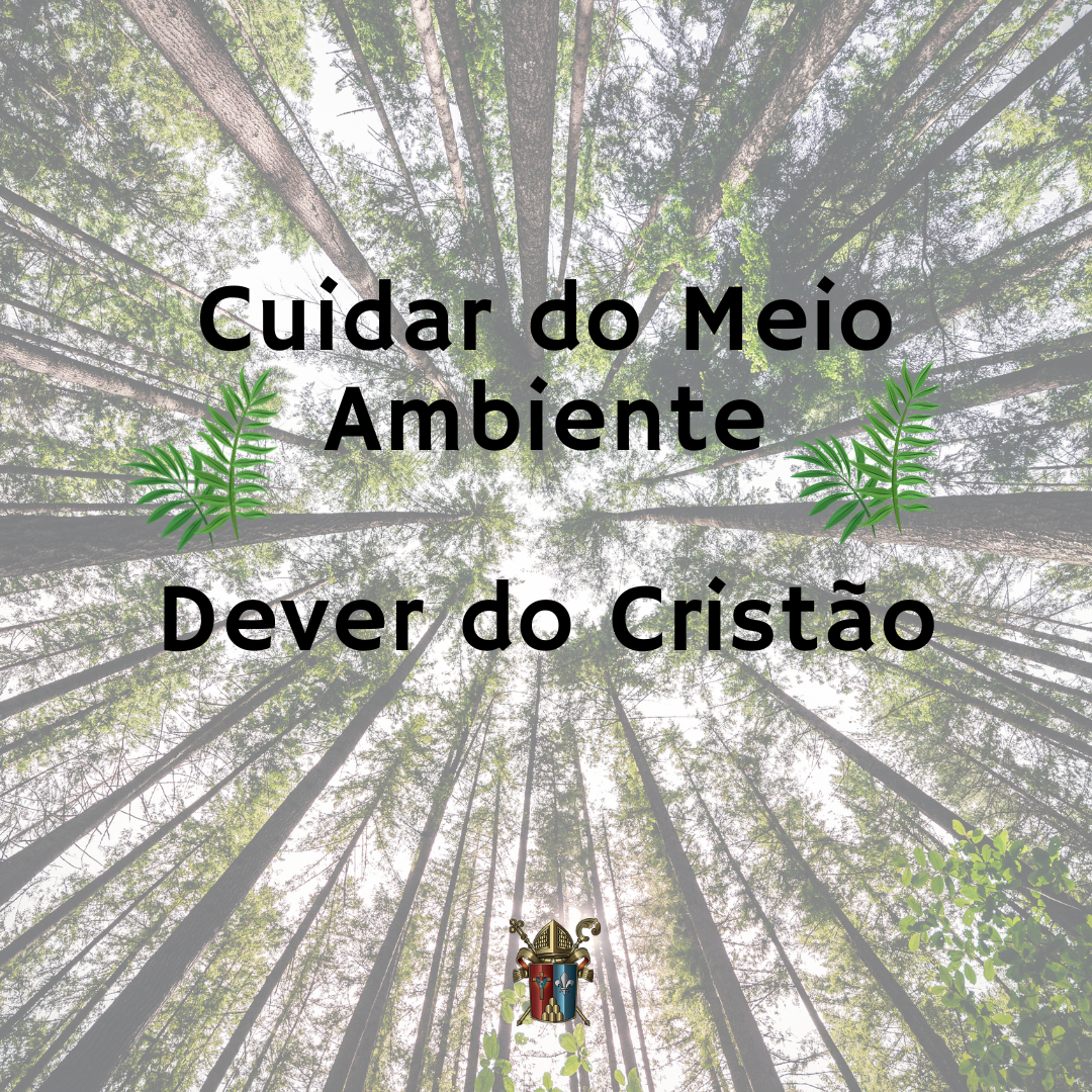 Cuidar do Meio Ambiente - Dever do Cristão