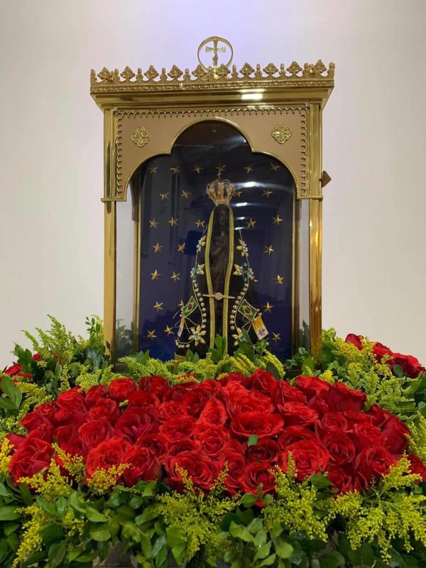 FLORES DE PLÁSTICO