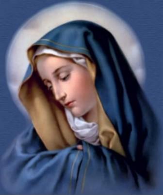 Santo do Dia
