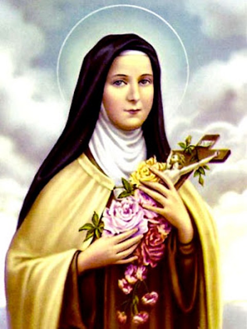 Santo do Dia