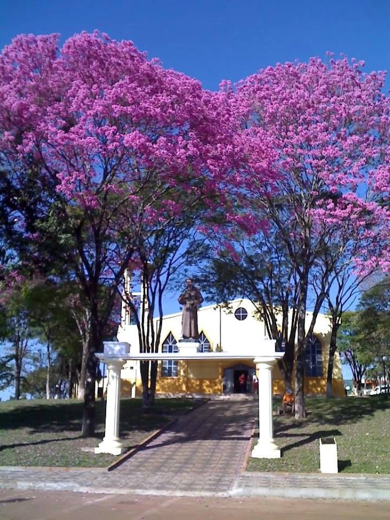 Paróquia São Francisco de Assis