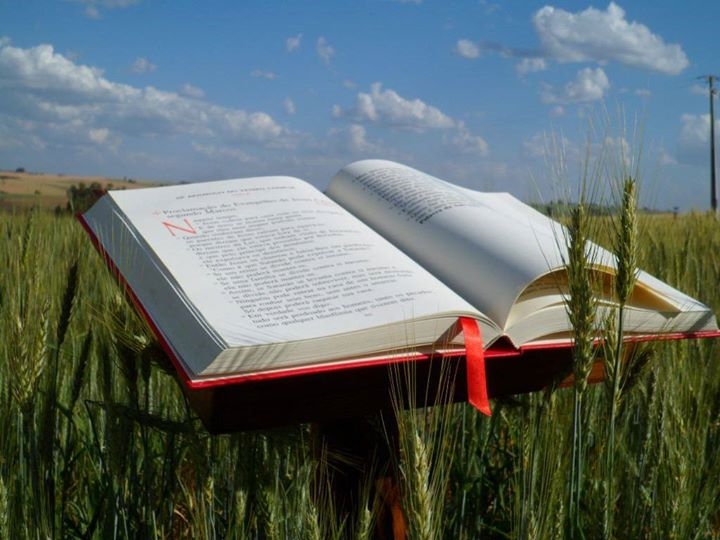 A Bíblia na vida da Igreja