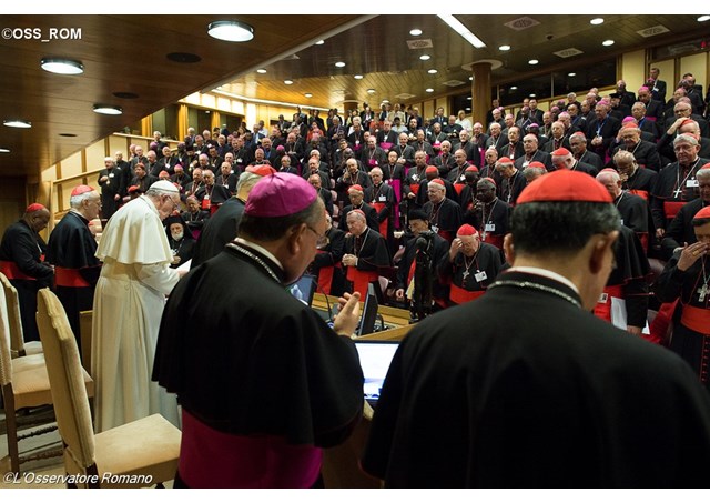 Papa no Sínodo: doutrina sobre matrimônio não foi modificada