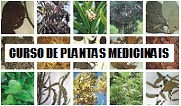 CURSO DE PLANTAS MEDICINAIS